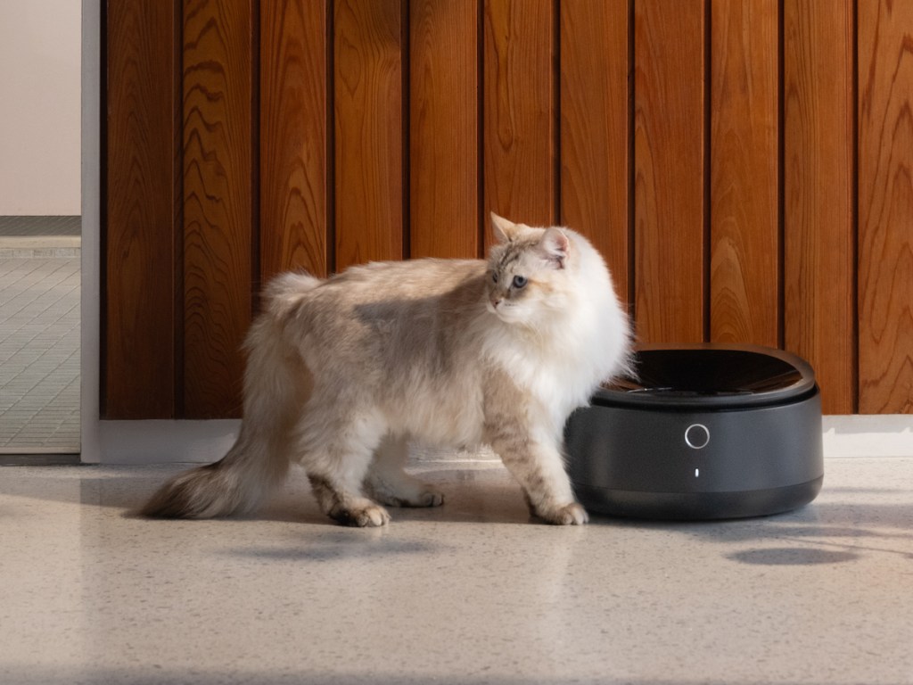 El nuevo alimentador de comida húmeda refrigerada inteligente de Petlibro es lo que tu gato merece